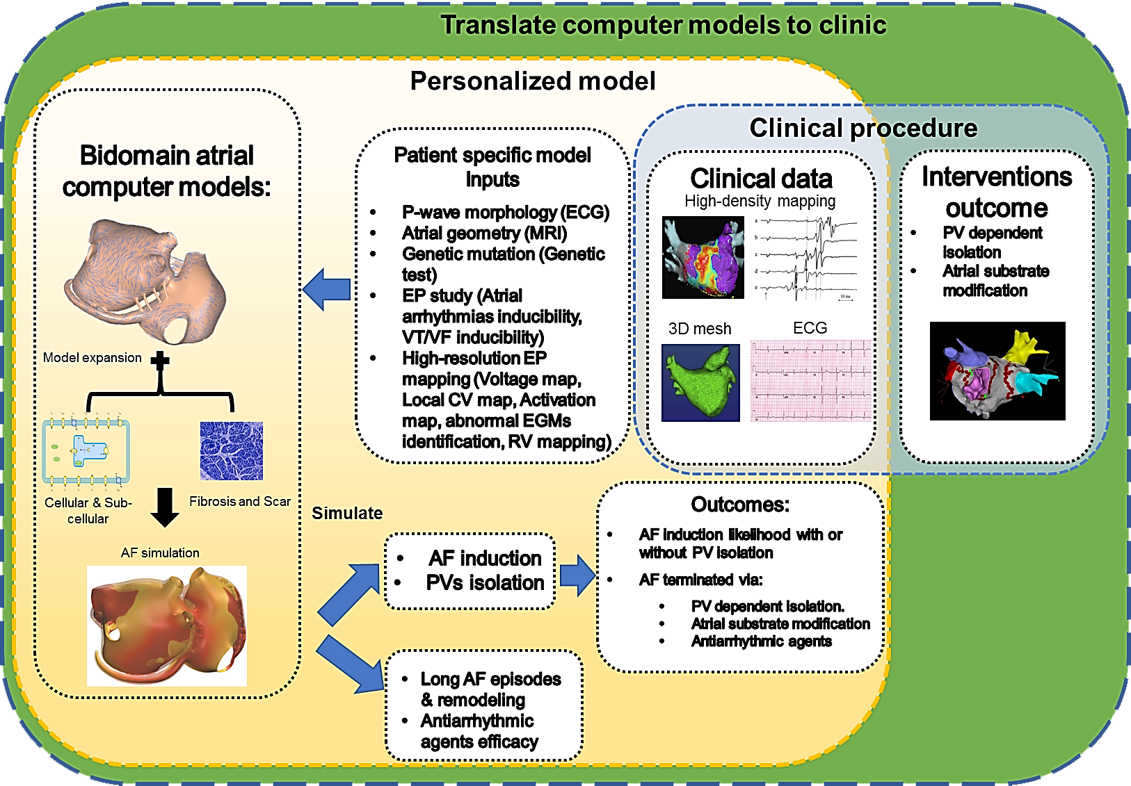 Schema del progetto di ricerca sulle aritmie cardiache ereditarie finanziato dal FNS